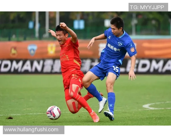 南京足球队运营分析：成败得失的深度探讨与未来展望