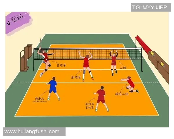 广州排球队的战术解析与技术控制深度剖析