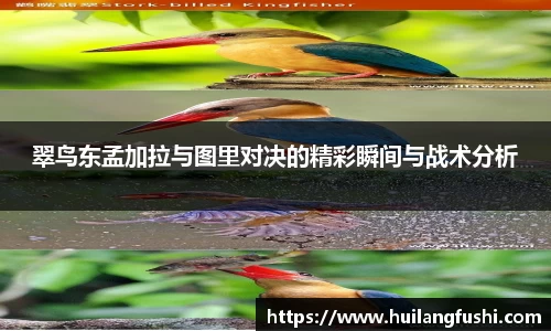好博体育官网